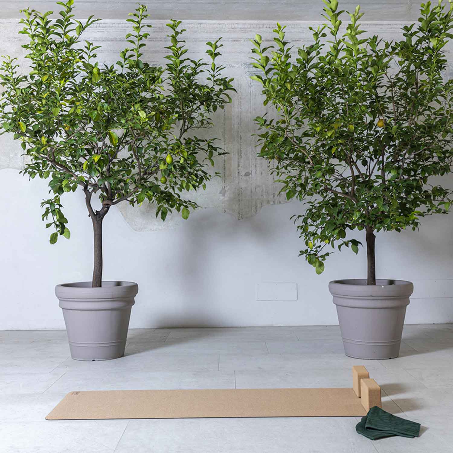 tappetino yoga sughero 